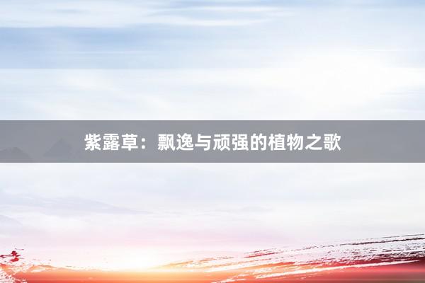 紫露草：飘逸与顽强的植物之歌