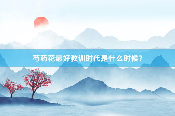 芍药花最好教训时代是什么时候？